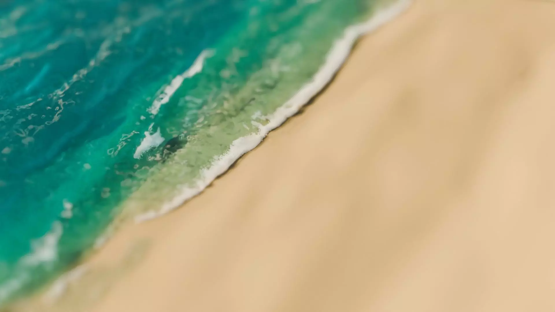 Animated Beach Waves Simulation with Whitewater Foam 3D model animated ...