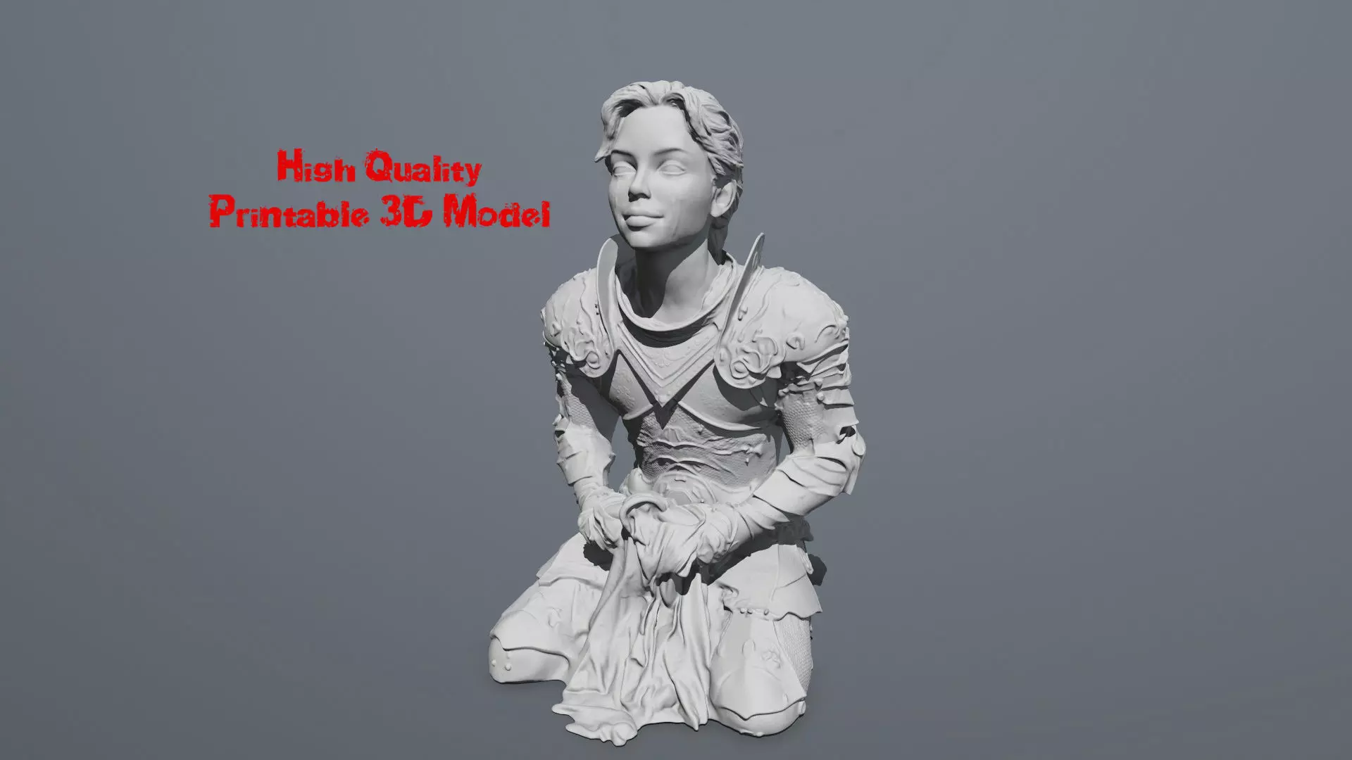 Woman Knight 01 3D print model