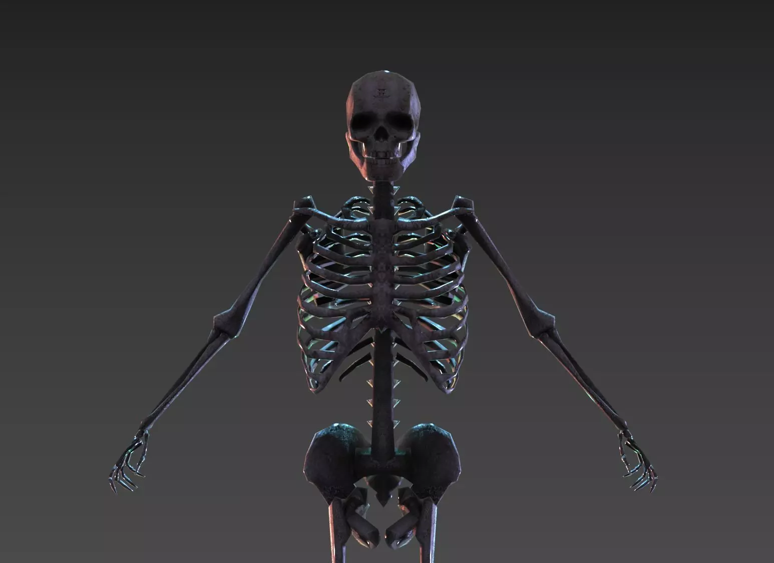 Skeleton 3D model | CGTrader