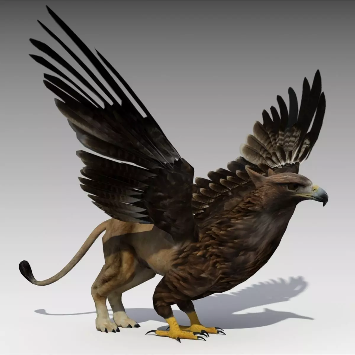 Griffin Animated Low-poly 3D model_0