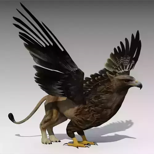 Griffin Animated Low-poly 3D model