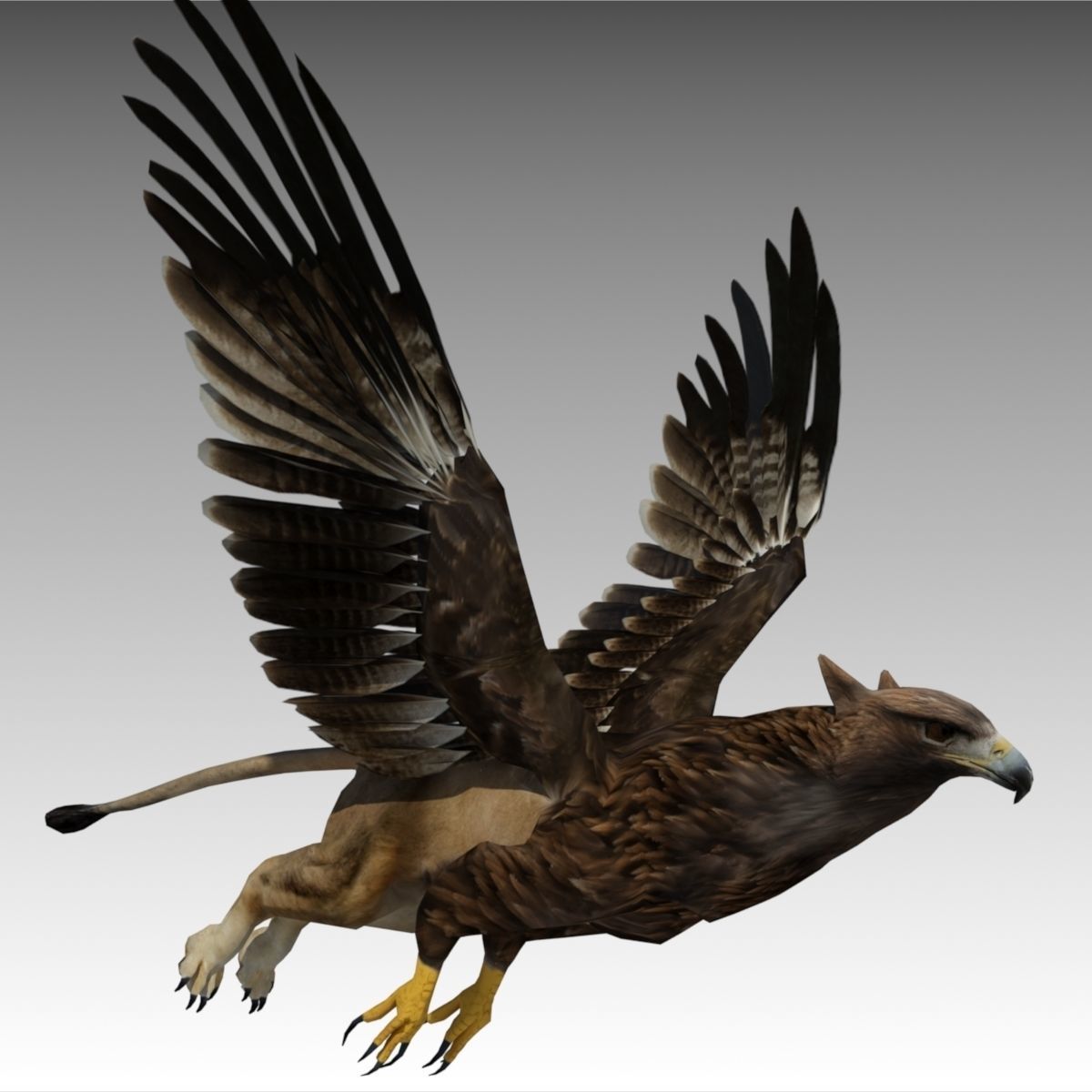 Griffin Animated Low-poly 3D model_3