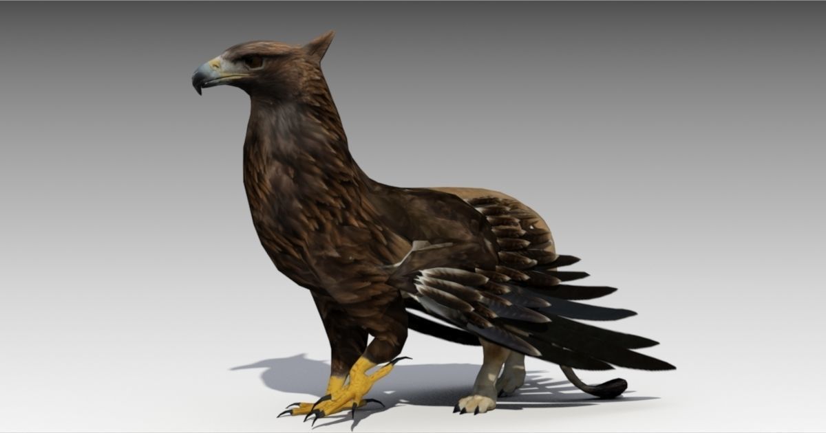 Griffin Animated Low-poly 3D model_5