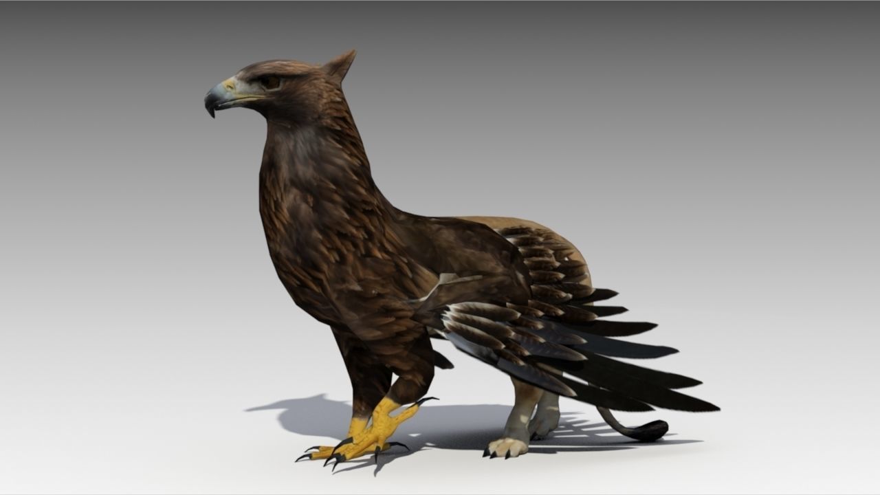 Griffin Animated Low-poly 3D model_2