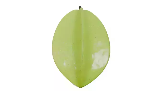 Carambola and Star Fruit PBR 2 Low-poly 3D model 3