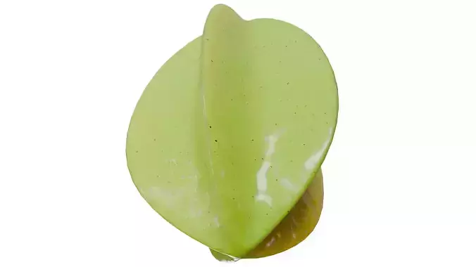 Carambola and Star Fruit PBR 2 Low-poly 3D model 2