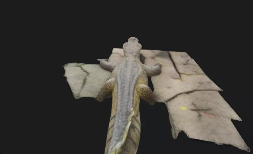 Saltwater Crocodile Animated 3D Model 3D model