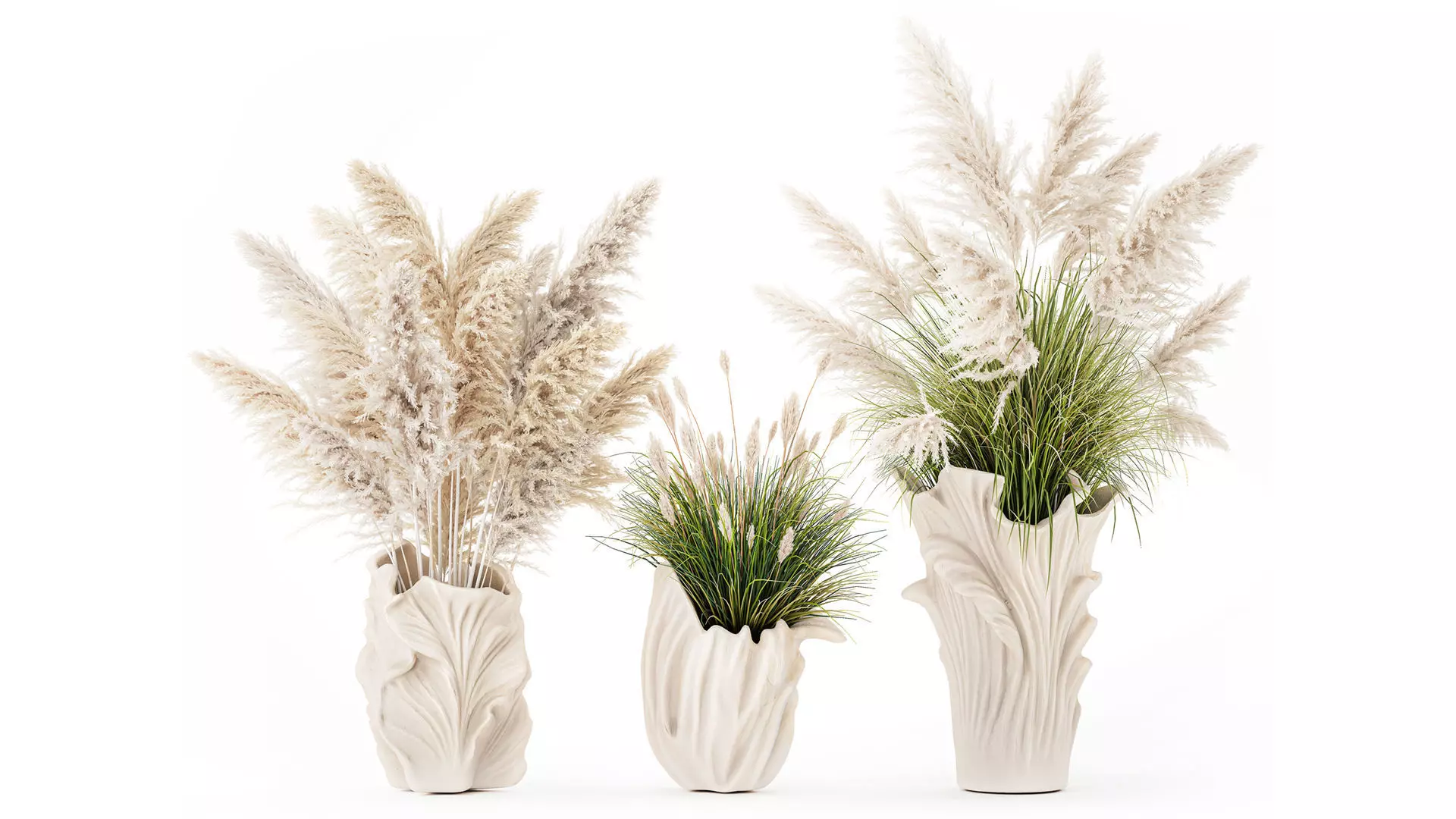 Dried flower bouquets branches Cortaderia pampas 3D model