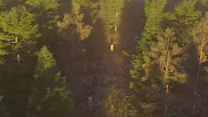Seasonal Forest Pack   5 Environments PBR 3D model 5