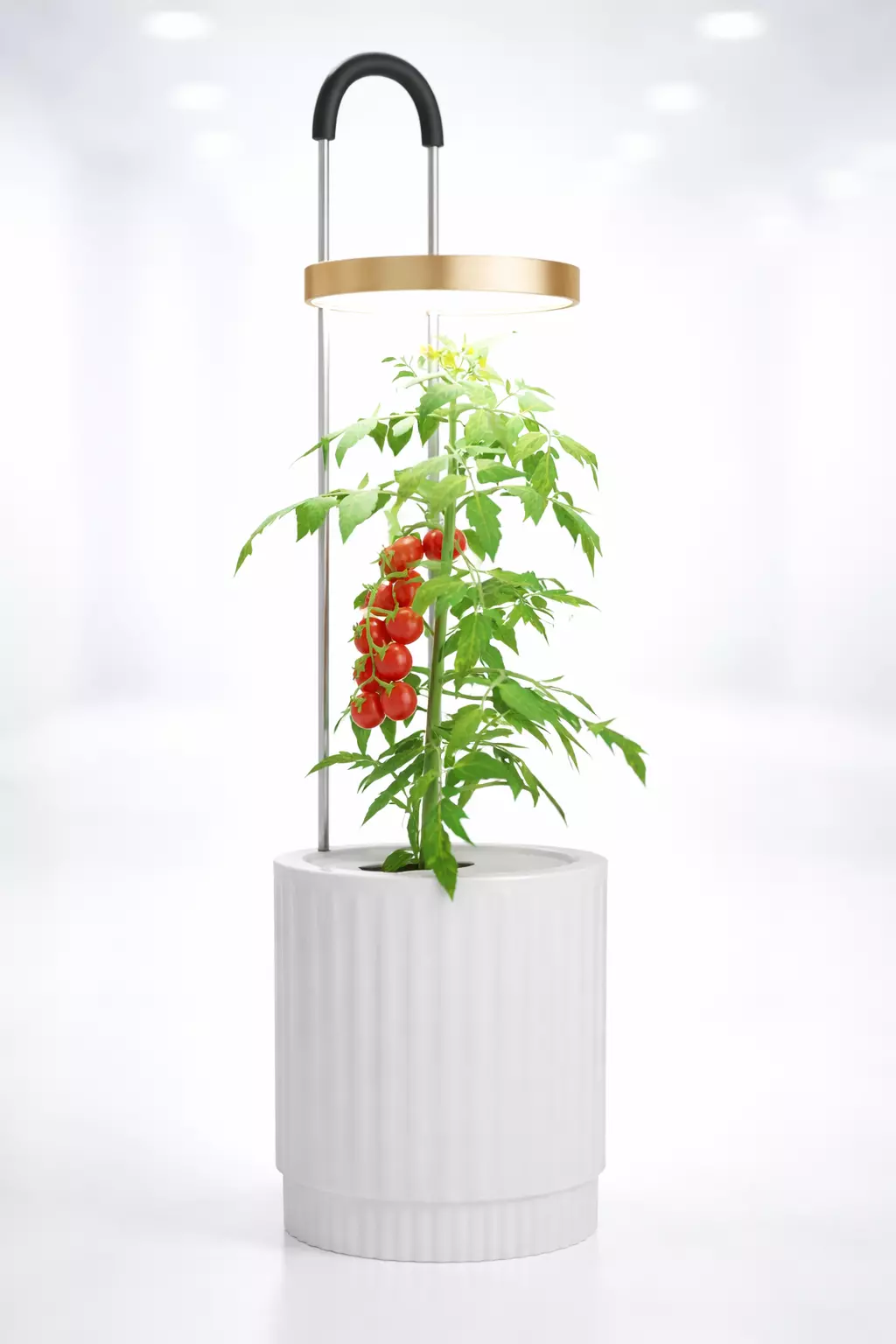 Click n Grow - Smart Hydro Vase 3D Model 3D model