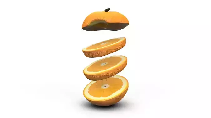 Orange Fruit Slices - Photorealistic High Poly Cut Set 3D print model 3