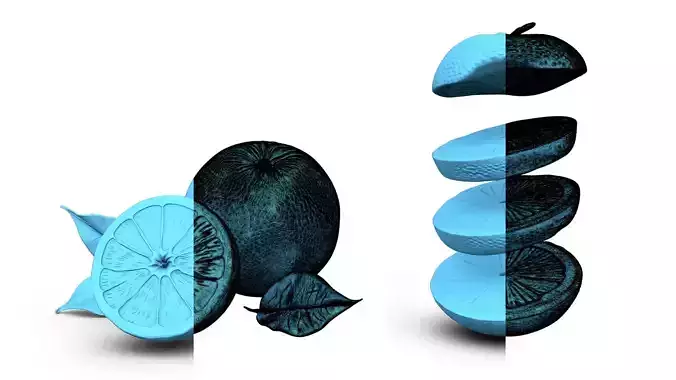 Orange Fruit Slices - Photorealistic High Poly Cut Set 3D print model 4