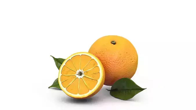 Orange Fruit Slices - Photorealistic High Poly Cut Set 3D print model 2