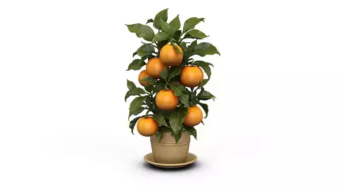 Orange Fruit Pyramid and Tree - Decorative High Poly Set 3D print model 3