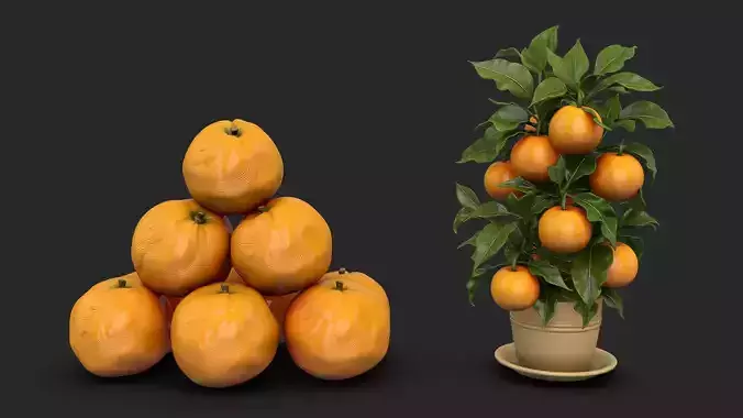 Orange Fruit Pyramid and Tree - Decorative High Poly Set 3D print model