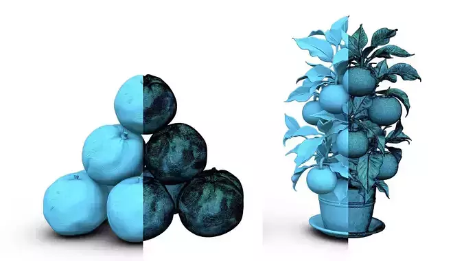 Orange Fruit Pyramid and Tree - Decorative High Poly Set 3D print model 4