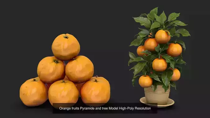Orange Fruits Bundle - Peeled - Sliced - Juice Splash - 4 Models 3D Model Pack 5