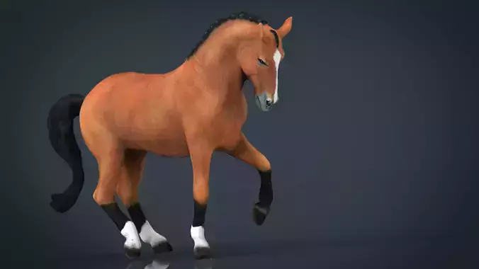  Dressage Horse