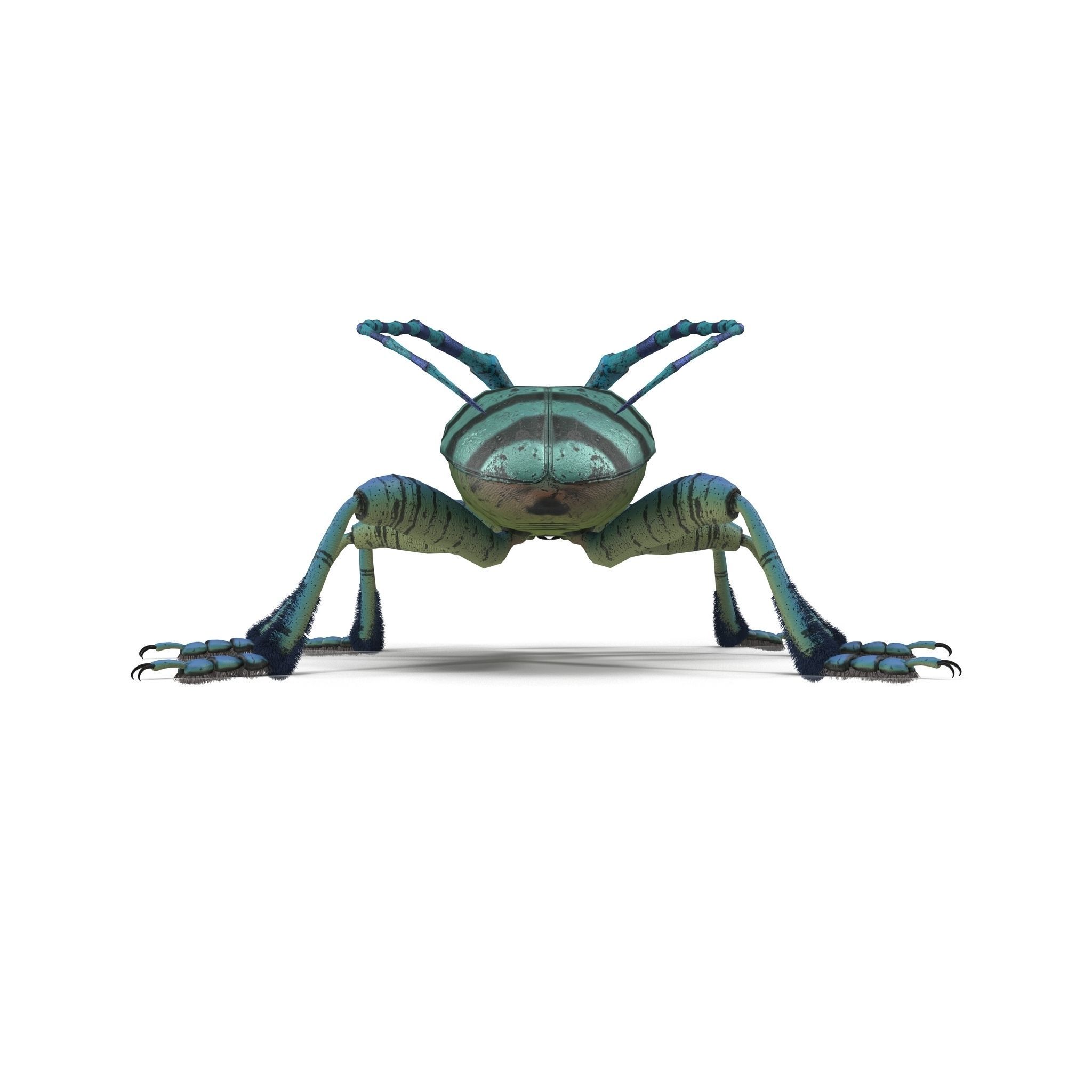 Anoplophora medembachi Low-poly 3D model_9