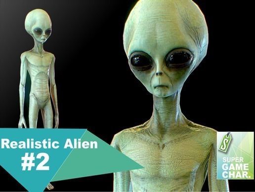 Realistic Alien 2 Gray Low-poly 3D model_0
