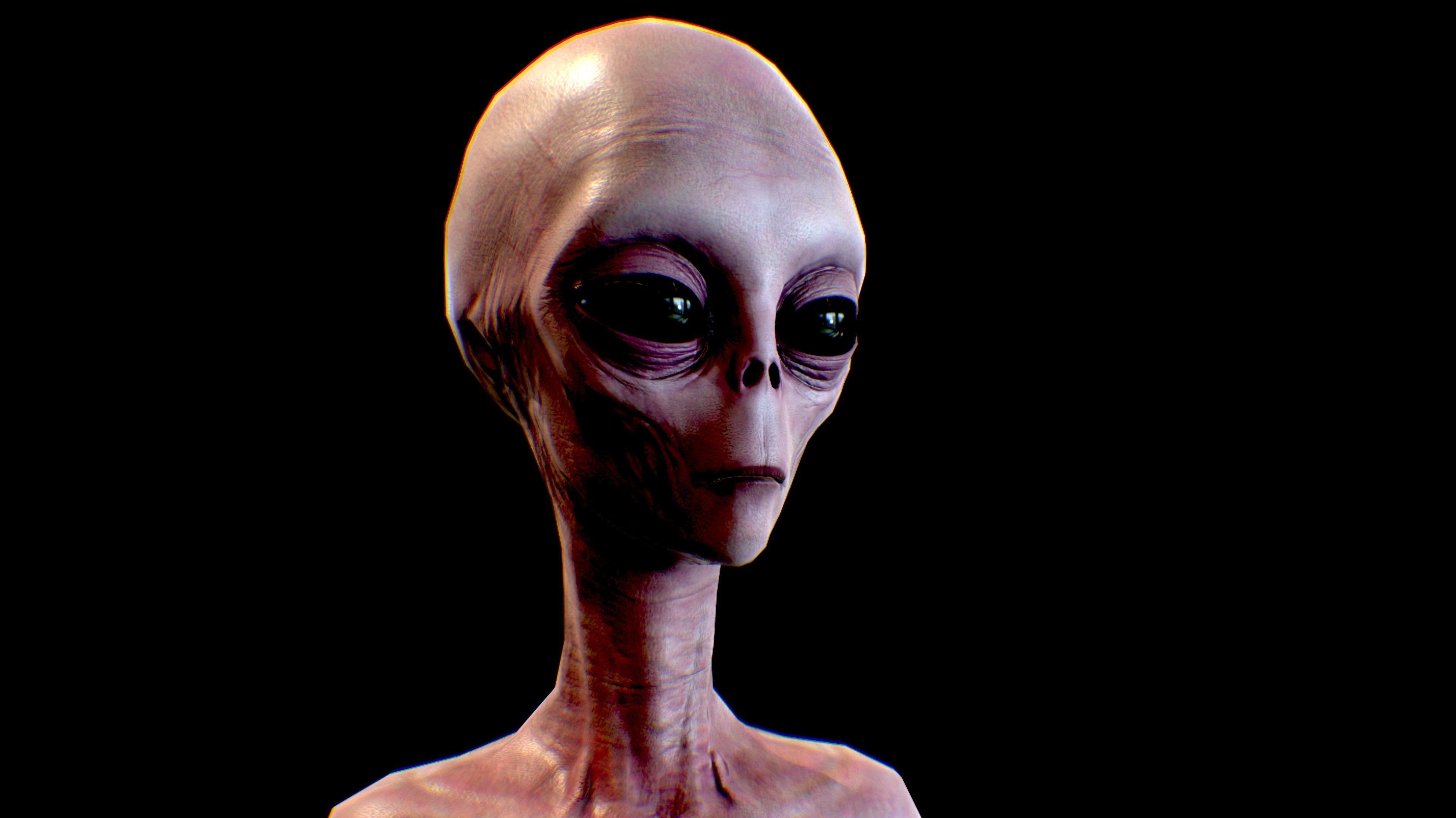 Realistic Alien 4 Grey Low-poly 3D model_3