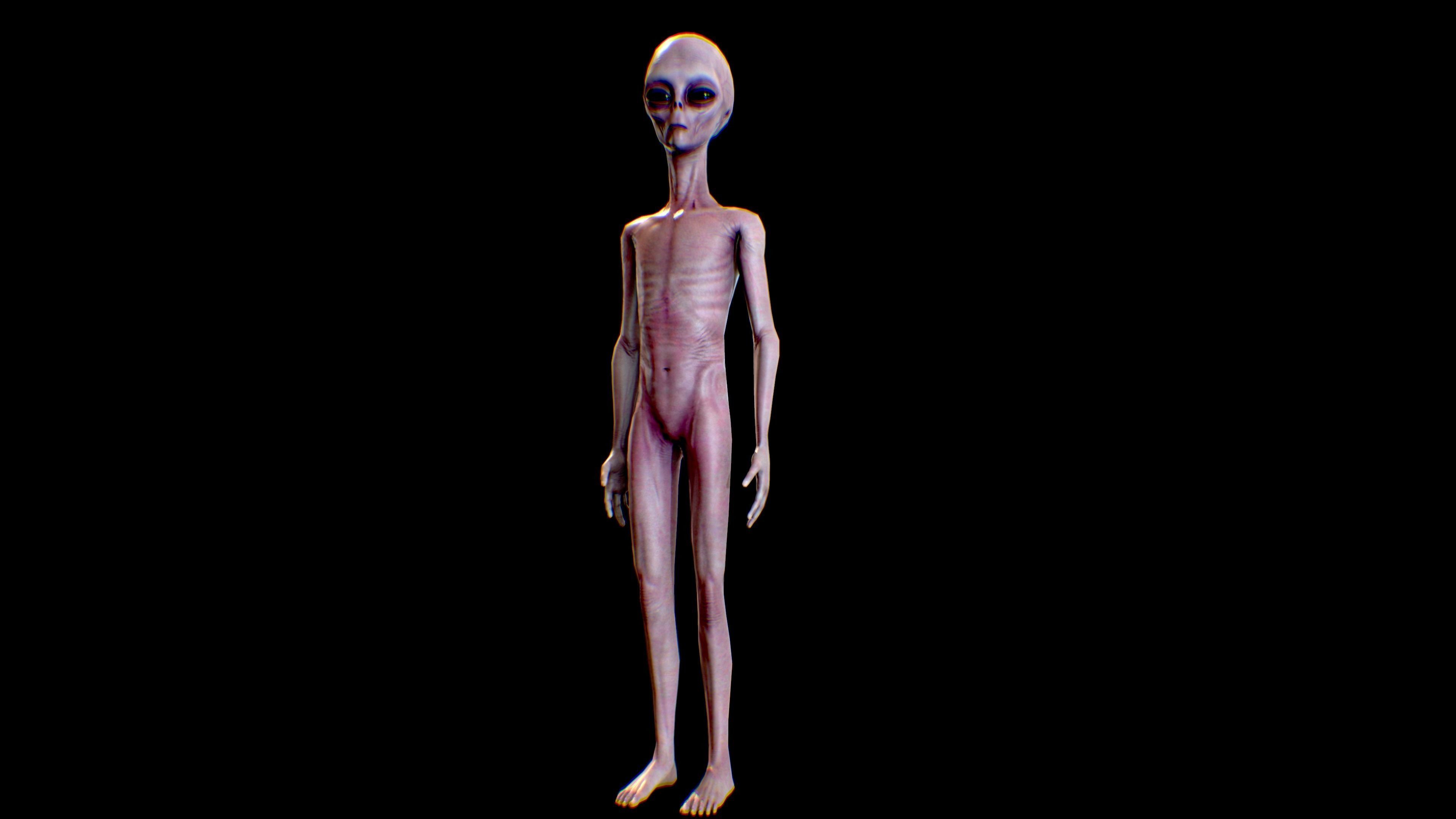 Realistic Alien 4 Grey Low-poly 3D model_5