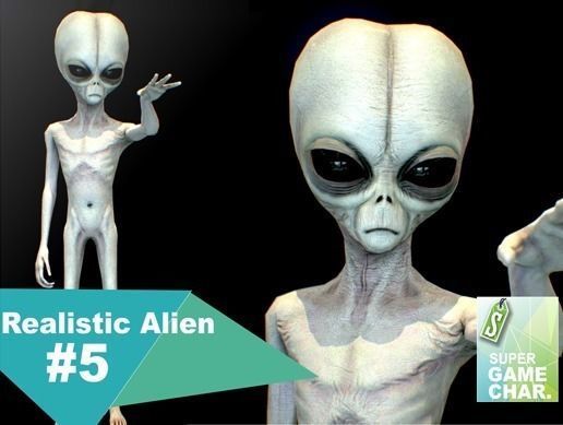 Realistic Alien 5 Small Grey Low-poly 3D model