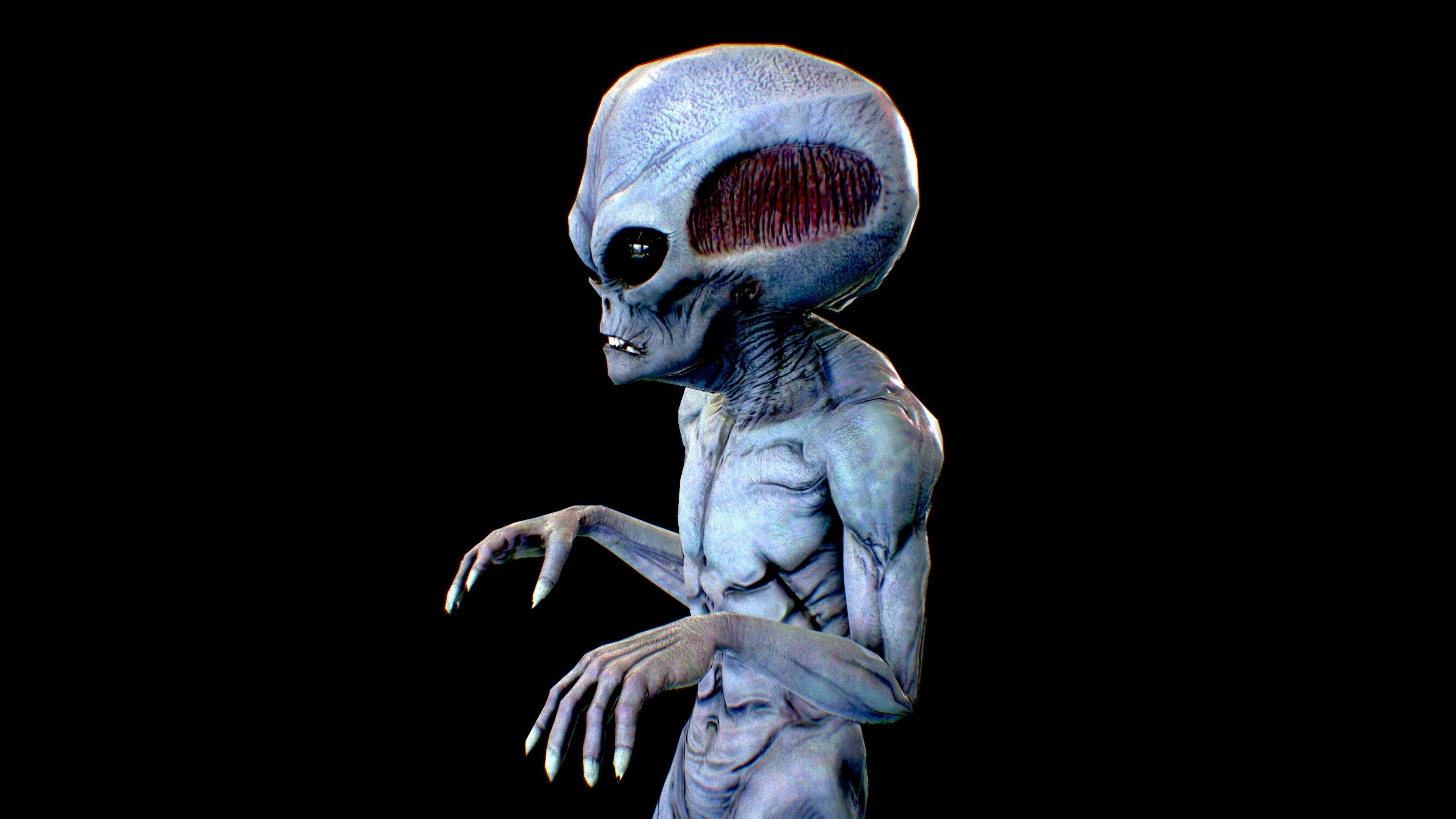 Realistic Alien 7 Evil Grey Low-poly 3D model_5