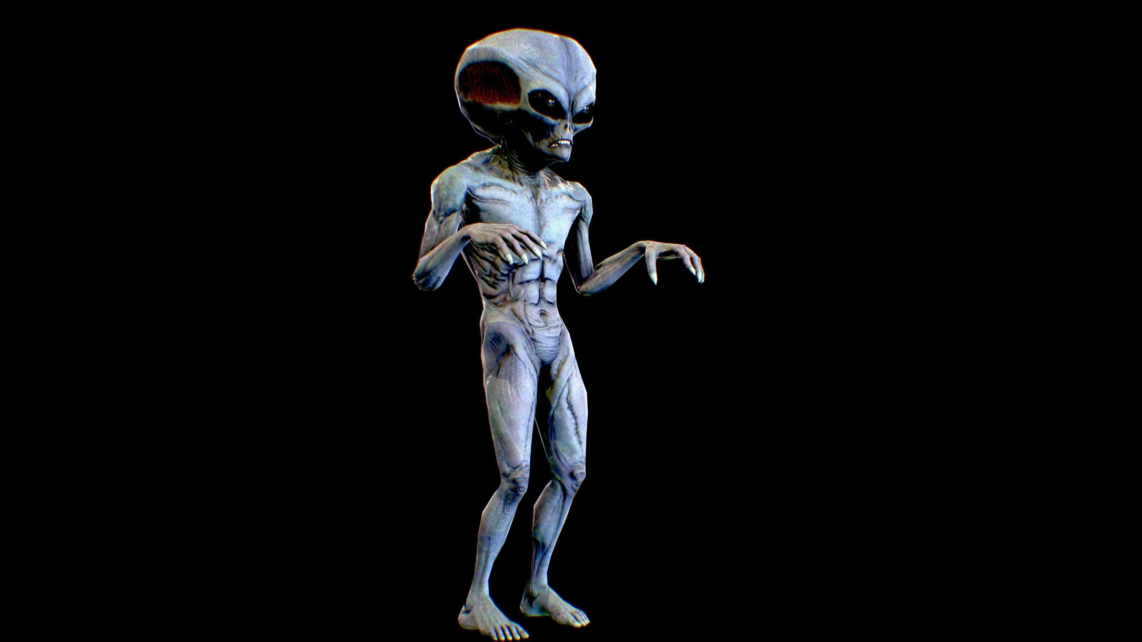 Realistic Alien 7 Evil Grey Low-poly 3D model_6
