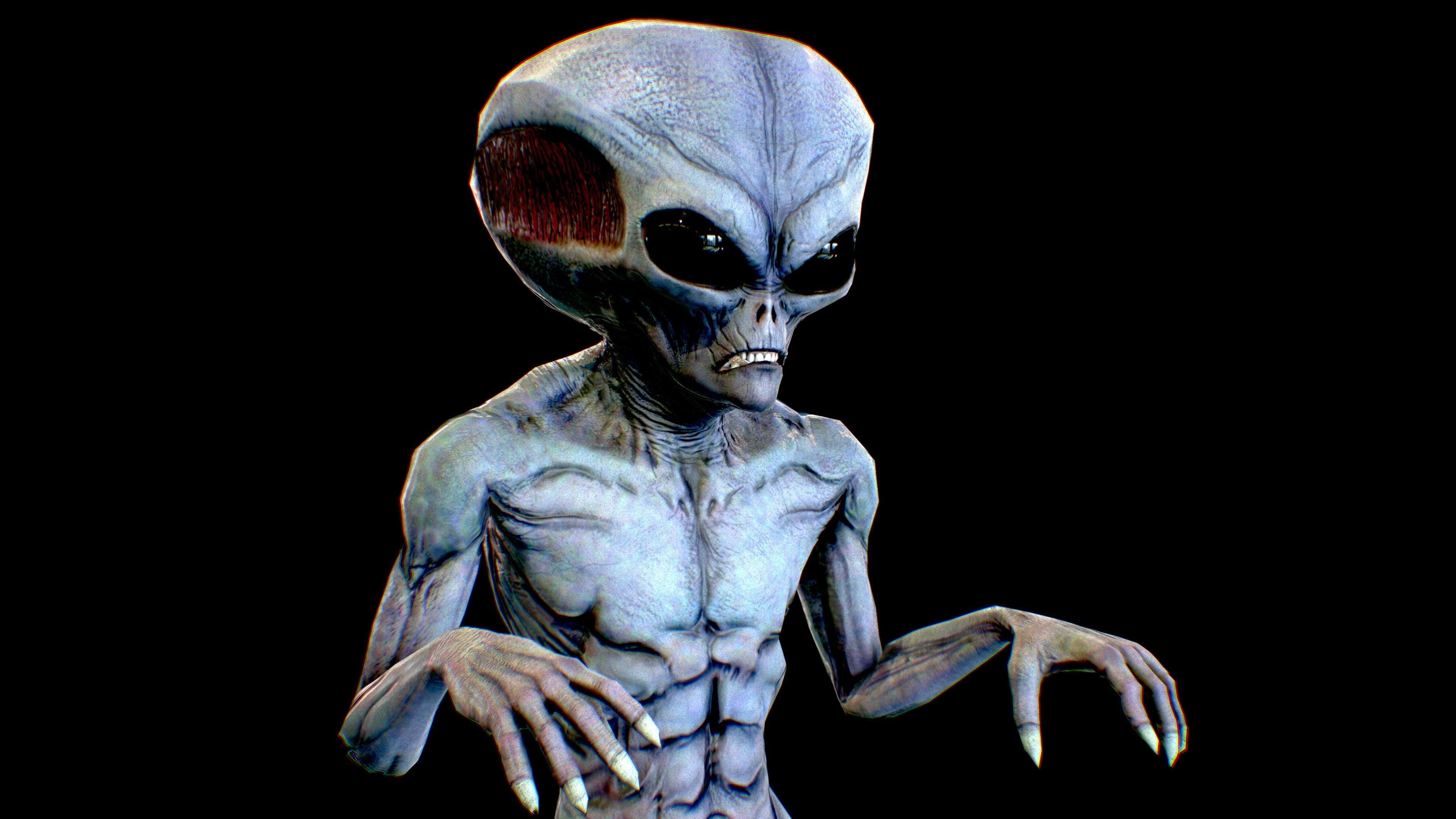 Realistic Alien 7 Evil Grey Low-poly 3D model_4