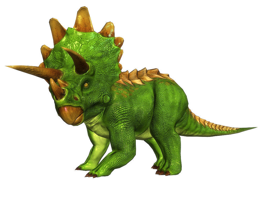 3Dfoin - Triceratops  Low-poly 3D model_5