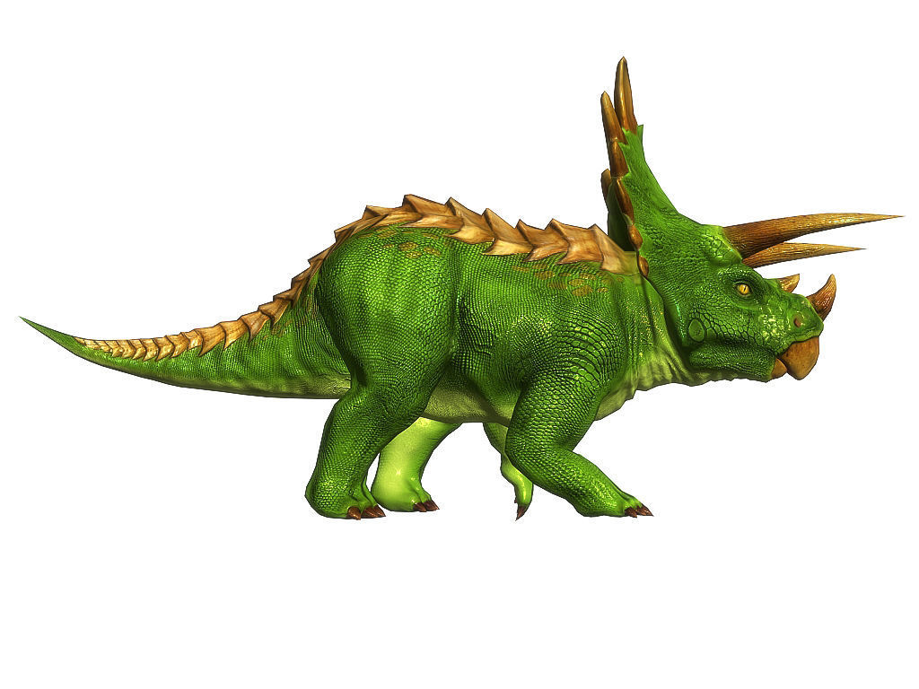 3Dfoin - Triceratops  Low-poly 3D model_8