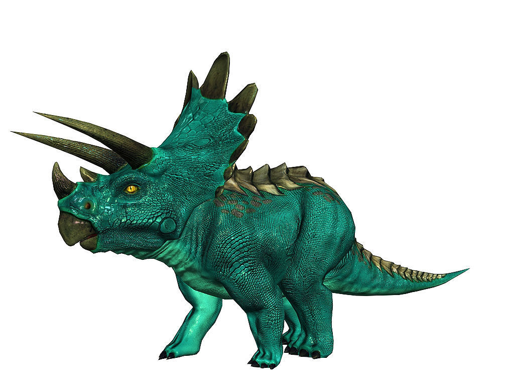 3Dfoin - Triceratops  Low-poly 3D model_4