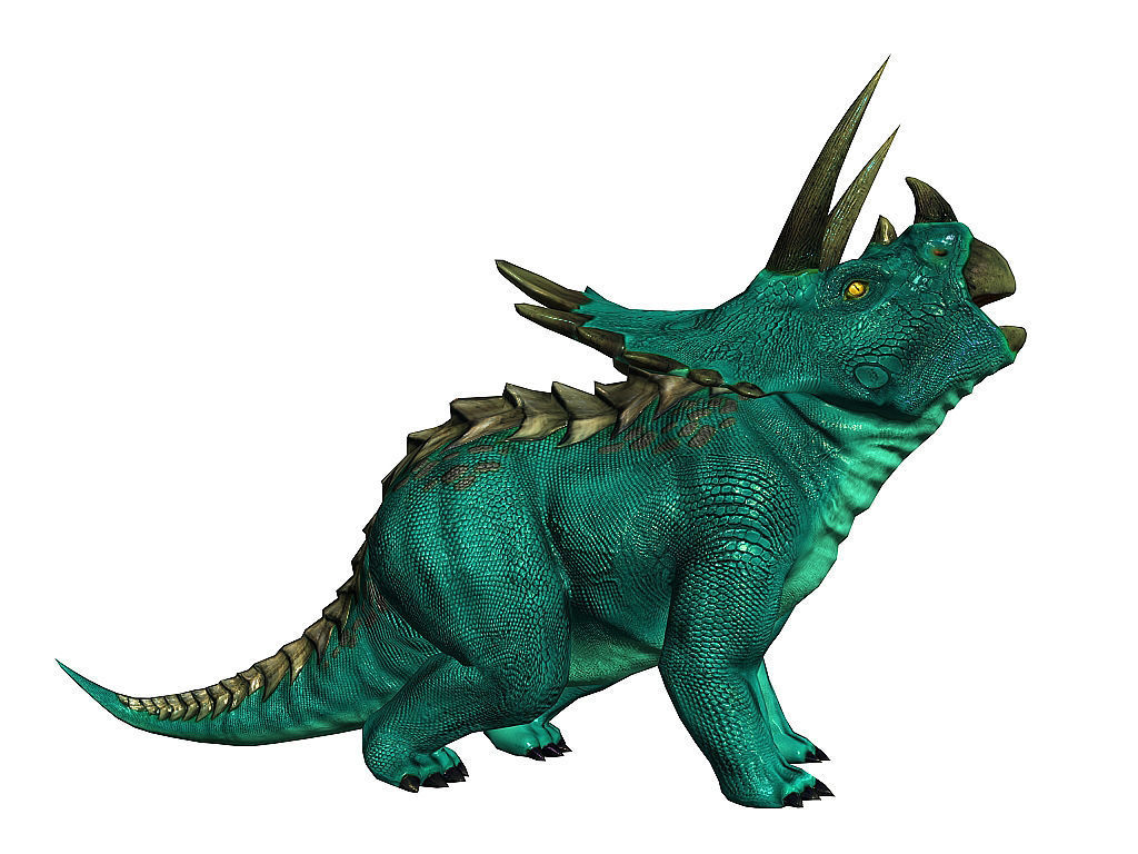 3Dfoin - Triceratops  Low-poly 3D model_6