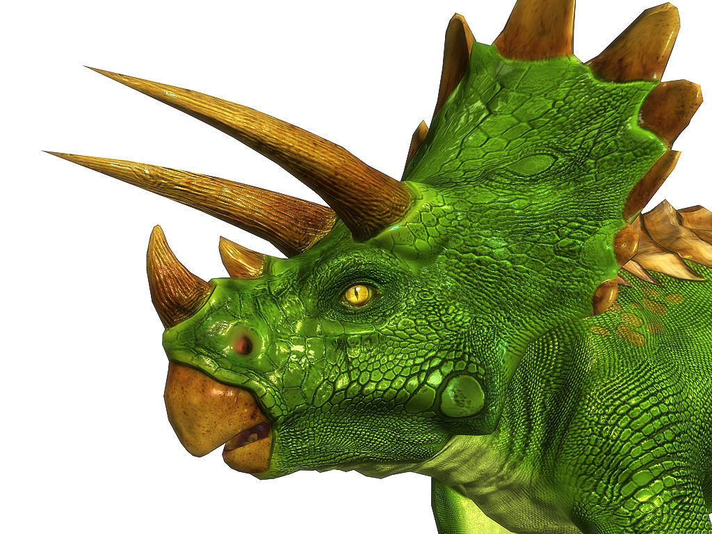 3Dfoin - Triceratops  Low-poly 3D model_3