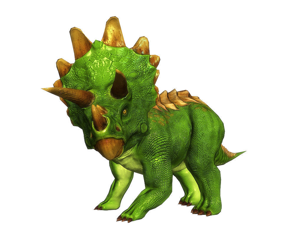 3Dfoin - Triceratops  Low-poly 3D model_13