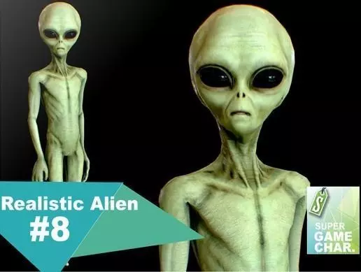 Realistic Alien 8 Roswell Grey Low-poly 3D model