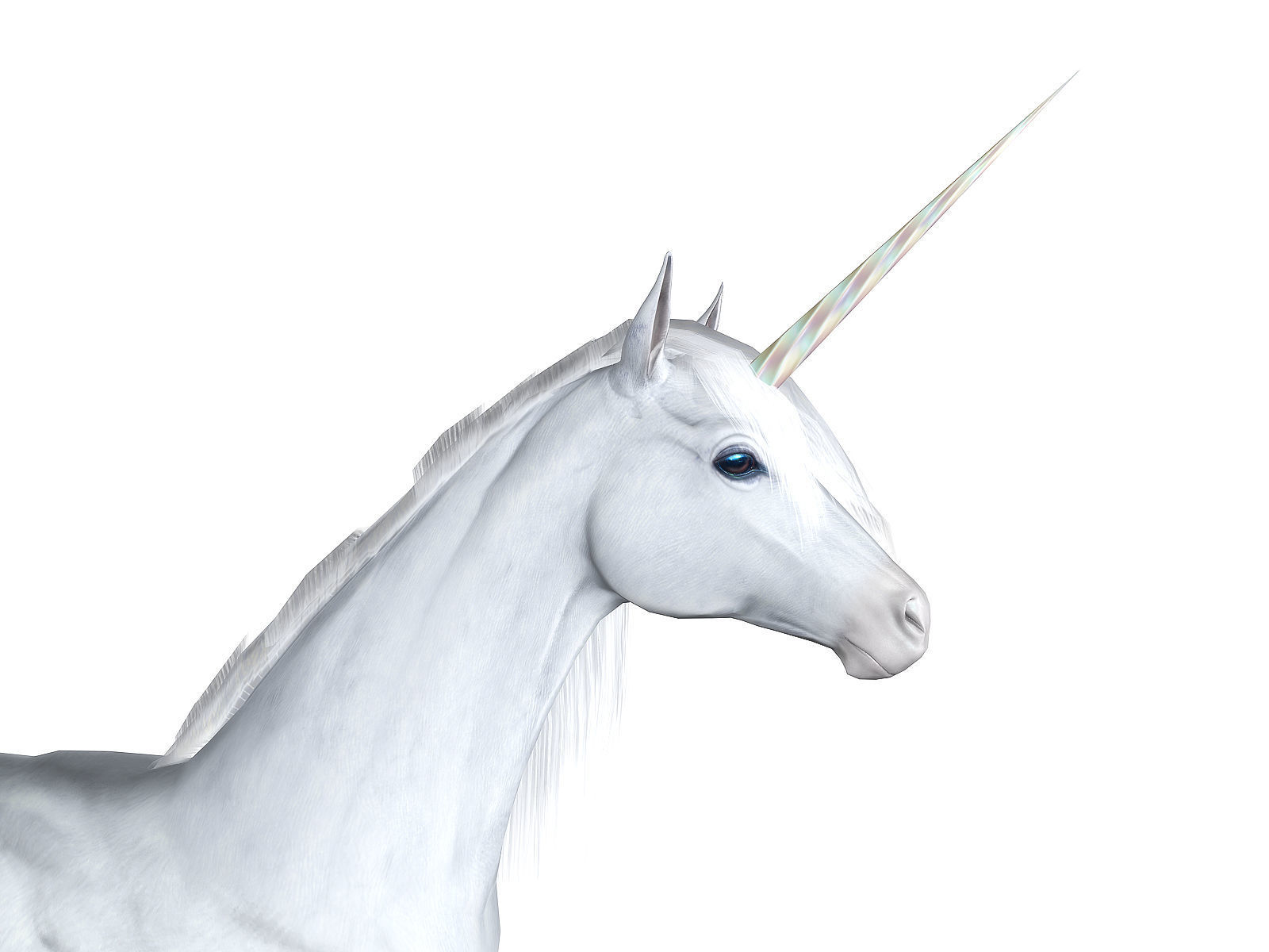 3Dfoin - Unicorn  Low-poly 3D model_6