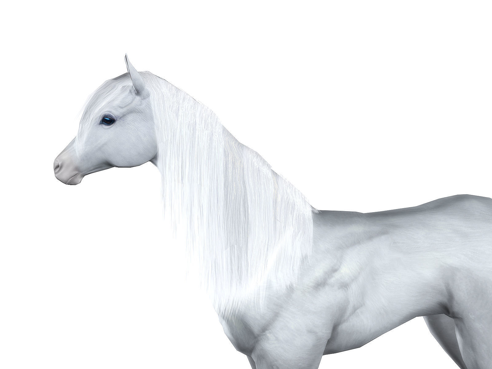 3Dfoin - Unicorn  Low-poly 3D model_7