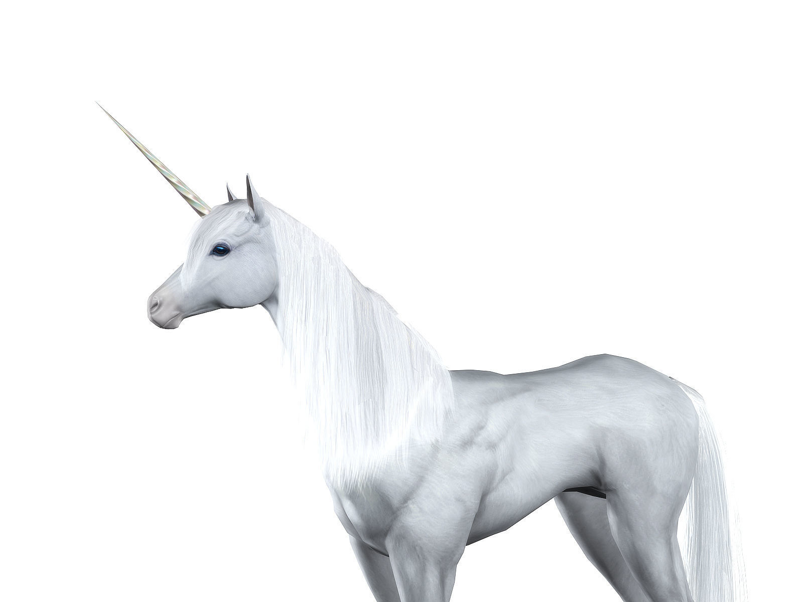 3Dfoin - Unicorn  Low-poly 3D model_5