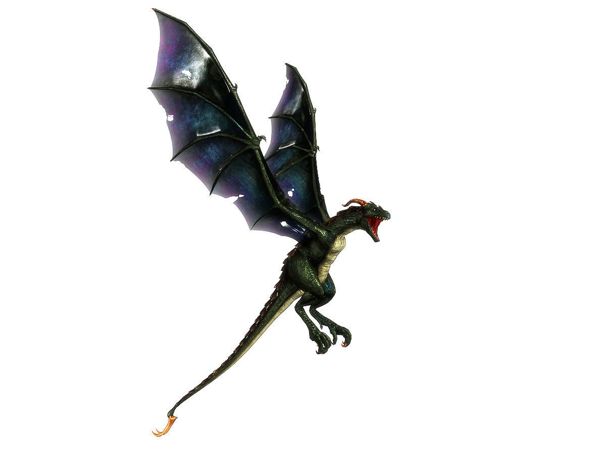 3Dfoin - Wyvern Low-poly 3D model_19