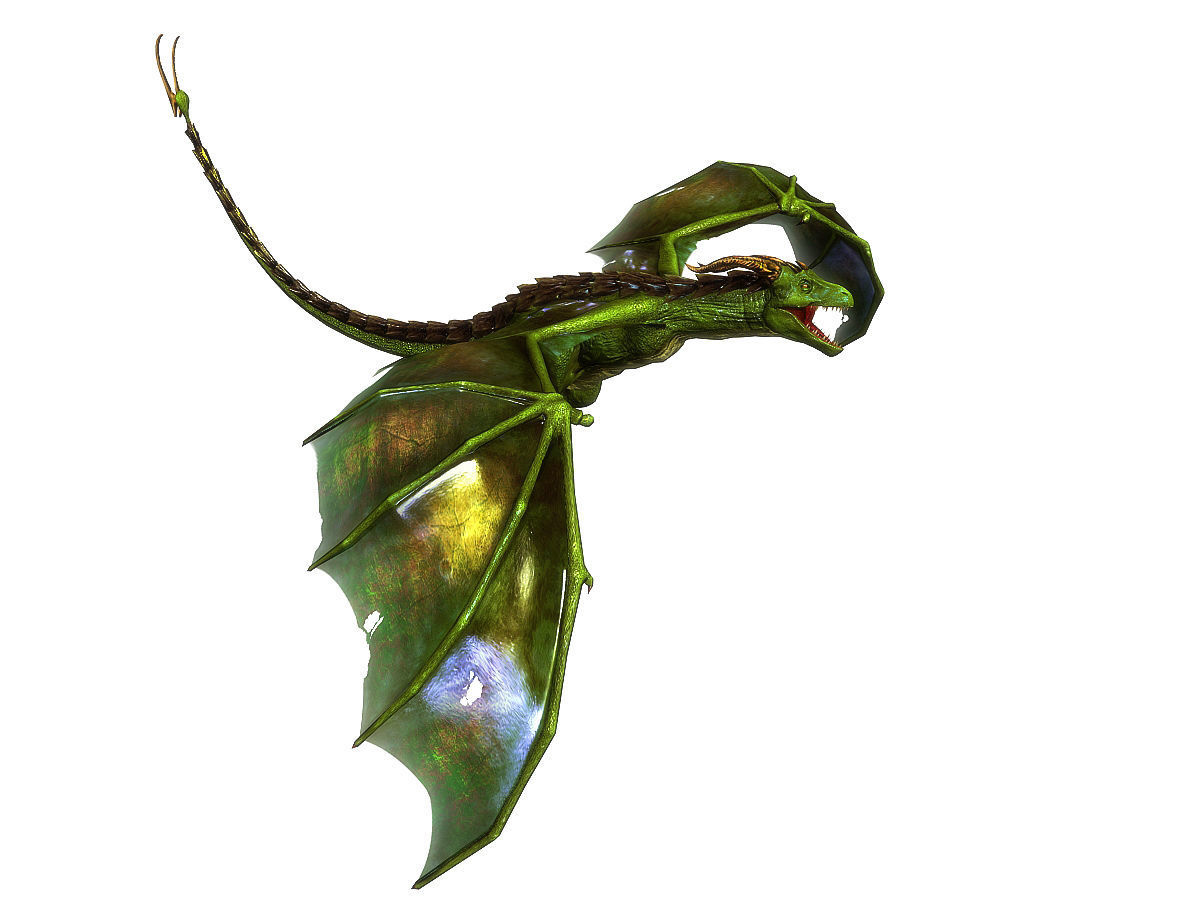 3Dfoin - Wyvern Low-poly 3D model_4
