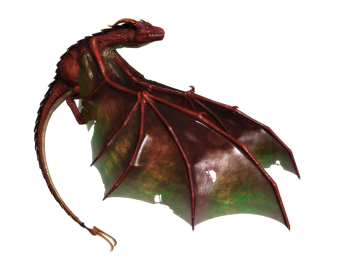 3Dfoin - Wyvern Low-poly 3D model_10