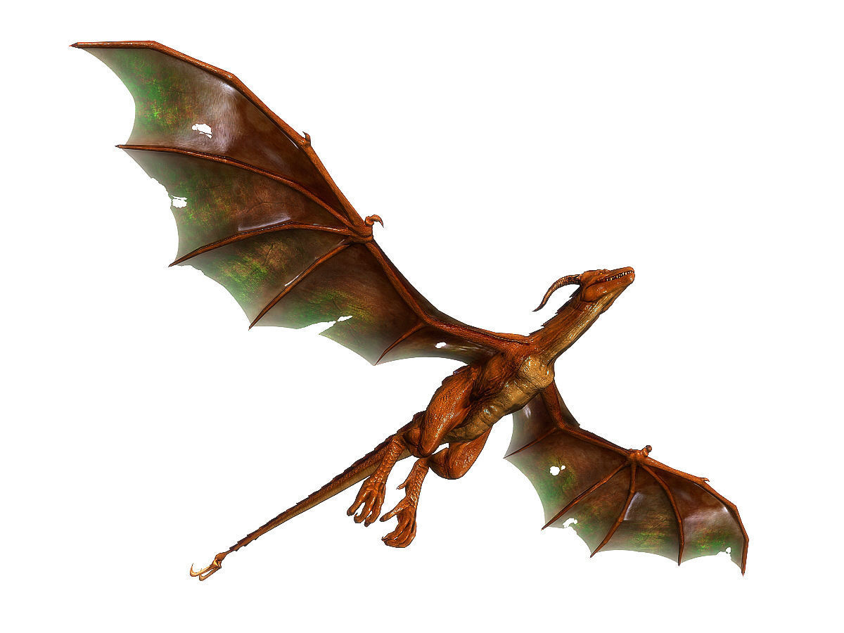 3Dfoin - Wyvern Low-poly 3D model_6