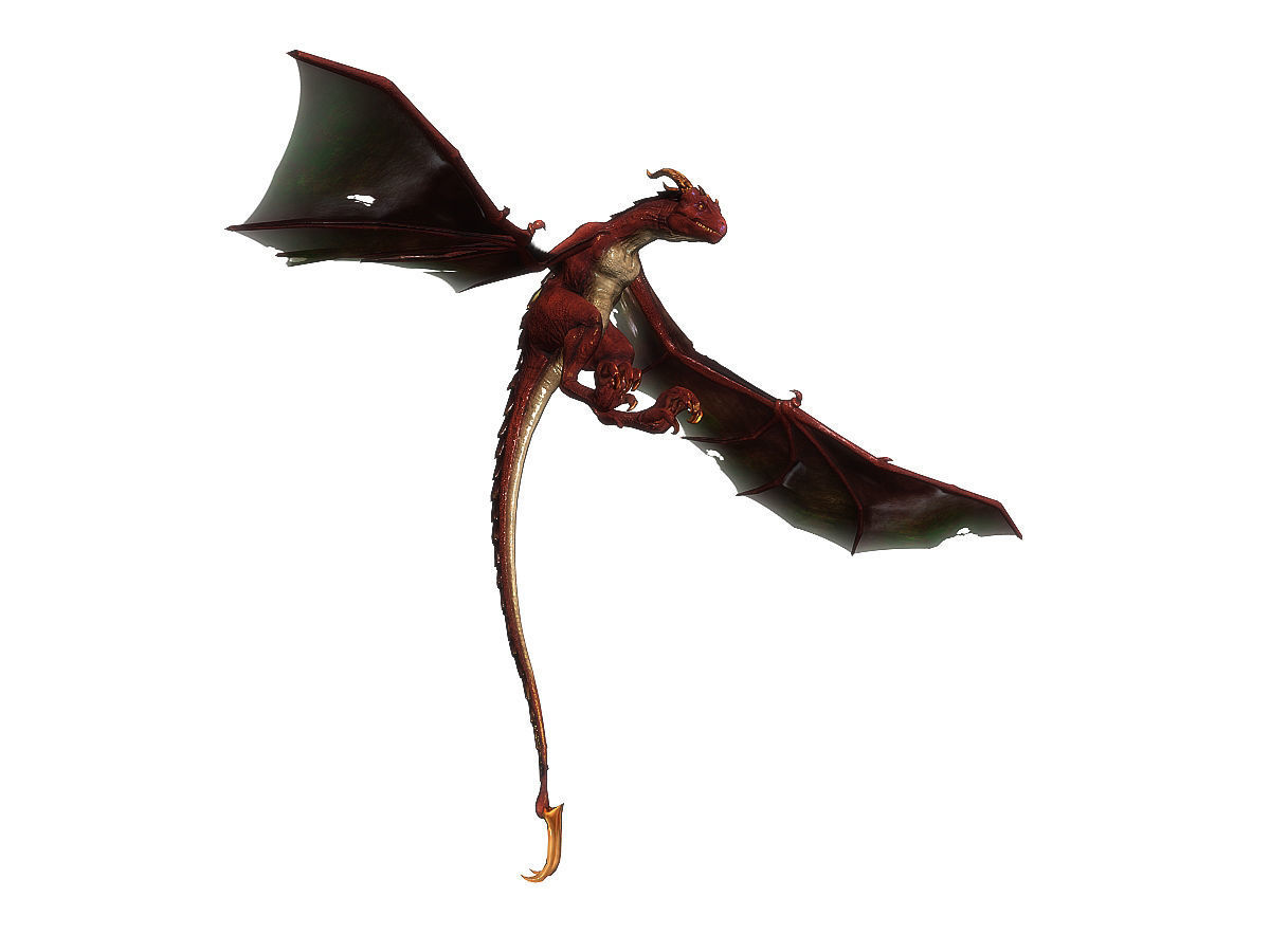 3Dfoin - Wyvern Low-poly 3D model_13