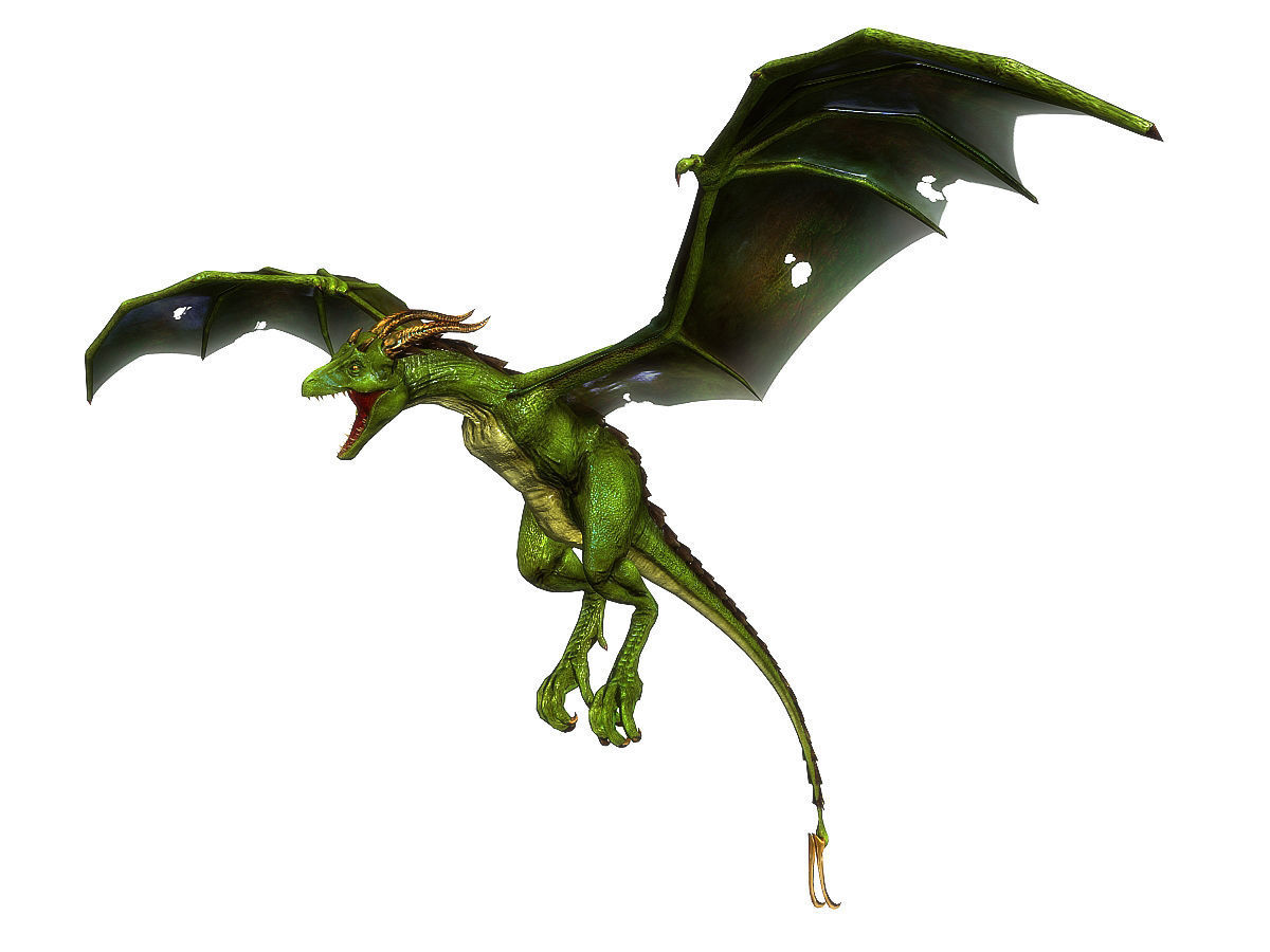 3Dfoin - Wyvern Low-poly 3D model_14