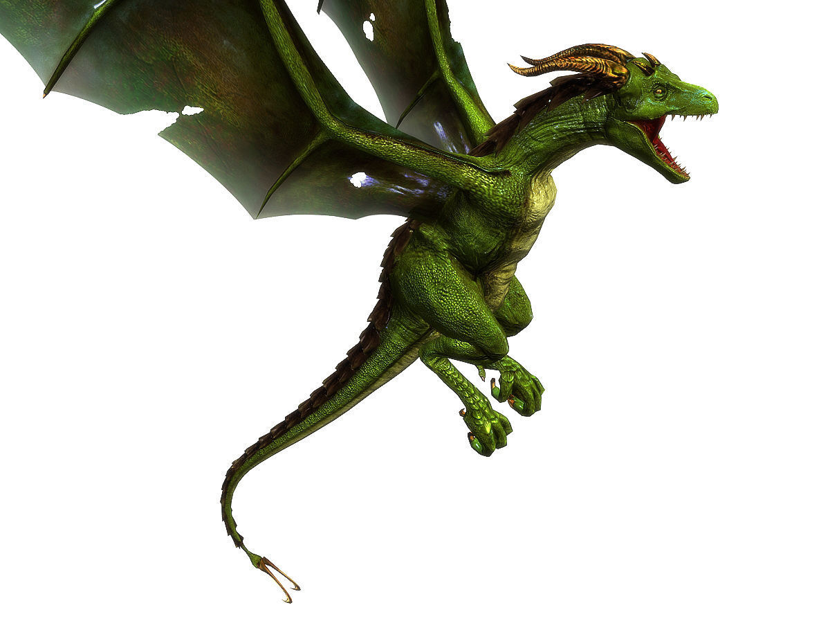 3Dfoin - Wyvern Low-poly 3D model_17