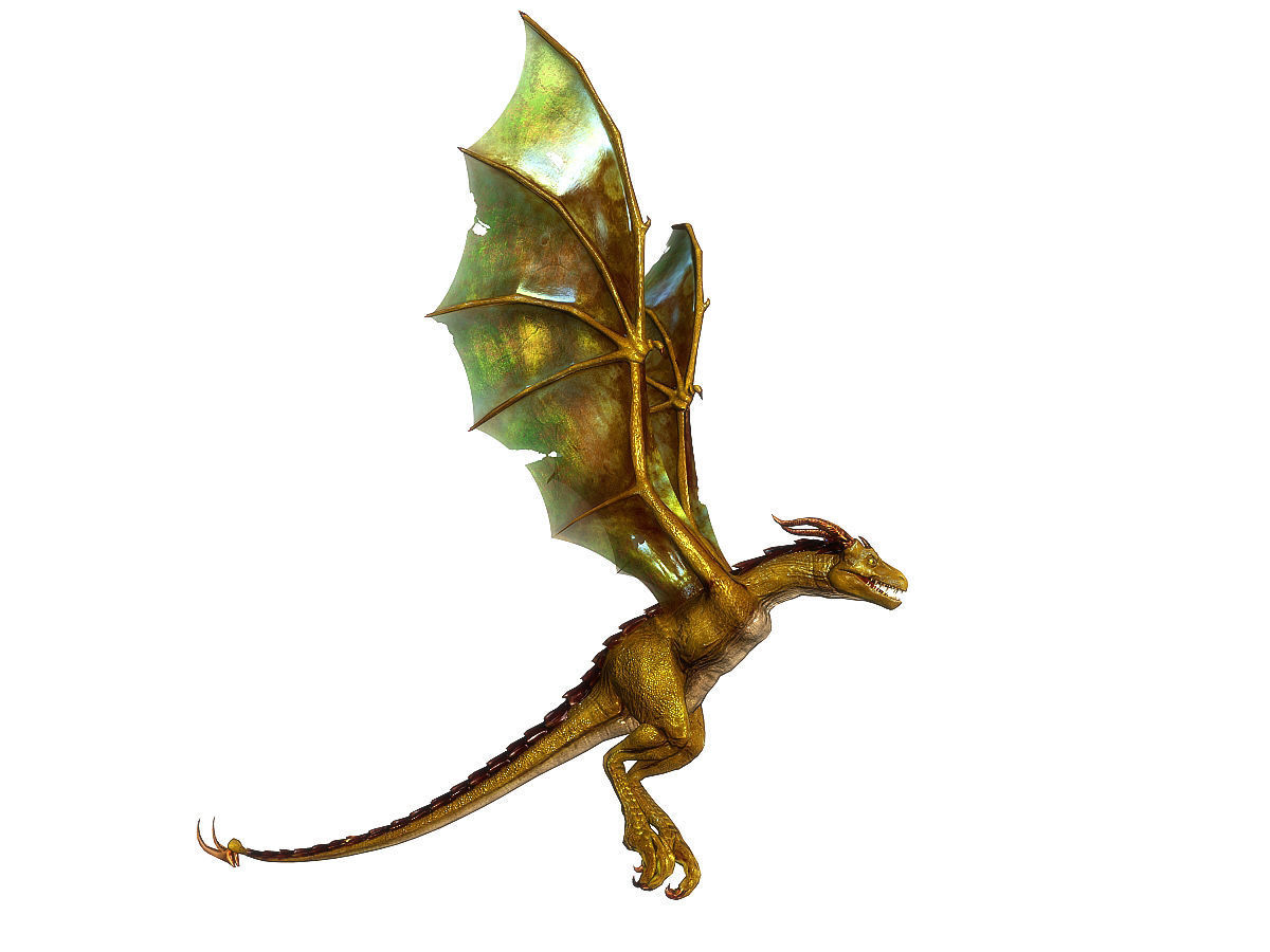 3Dfoin - Wyvern Low-poly 3D model_5