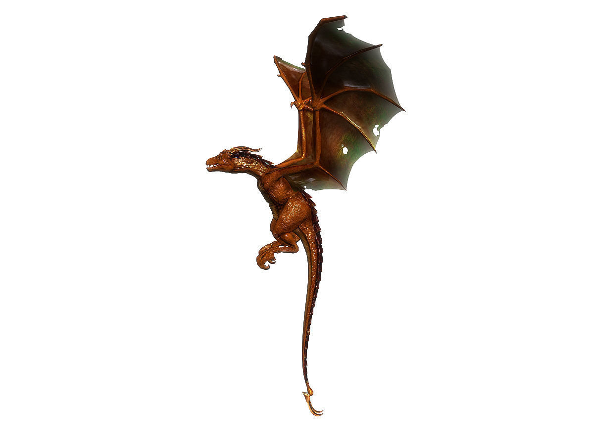 3Dfoin - Wyvern Low-poly 3D model_18