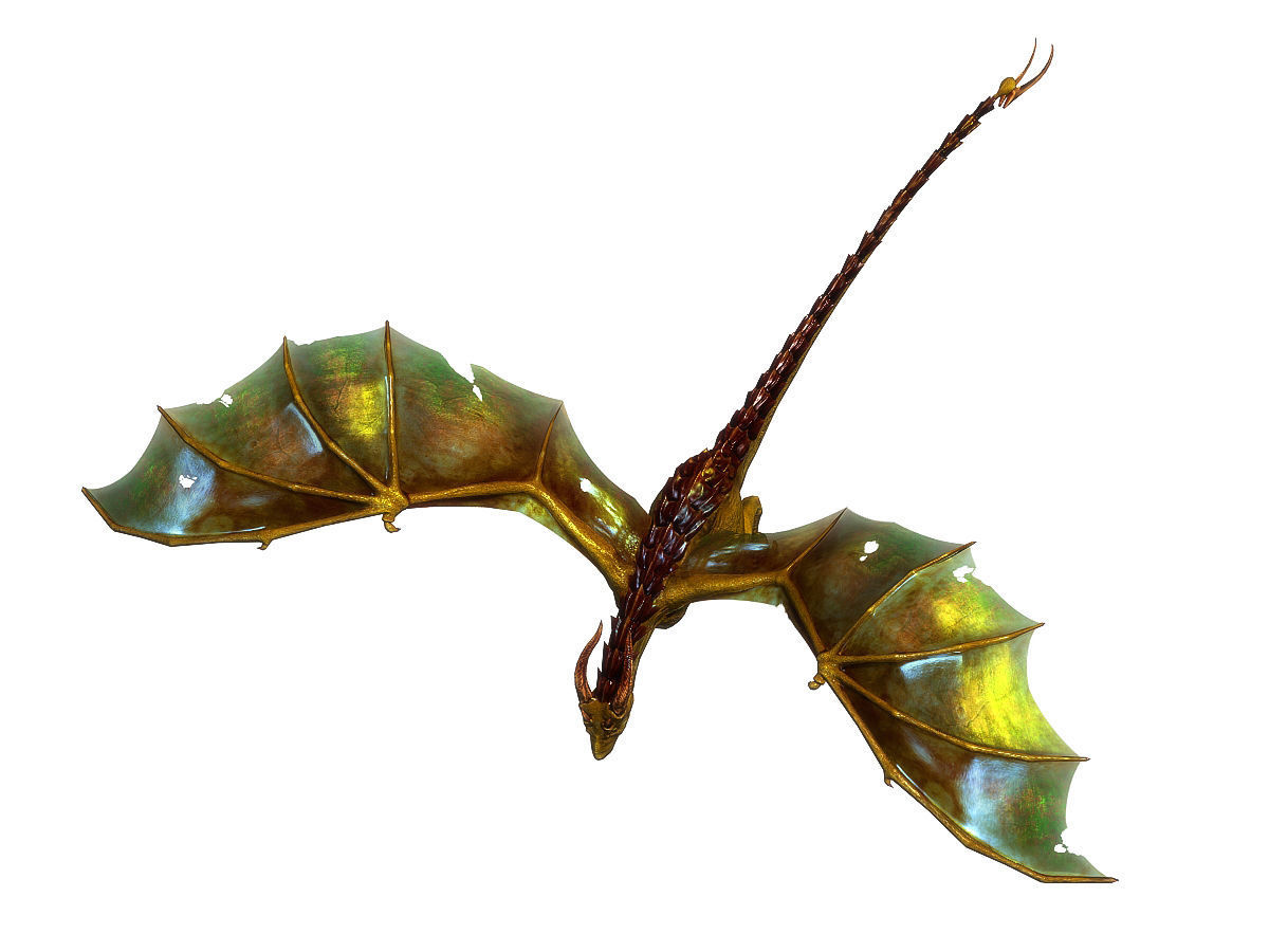 3Dfoin - Wyvern Low-poly 3D model_15